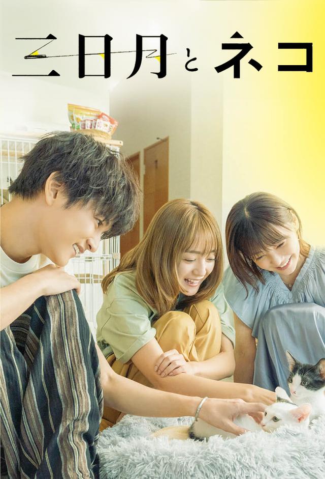 三日月とネコ