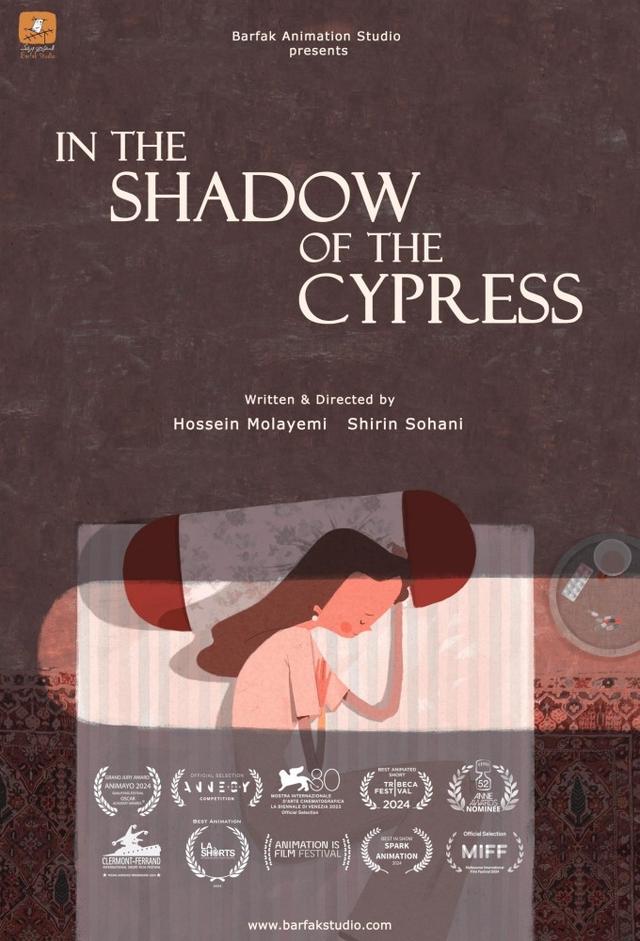 In the Shadow of the Cypress