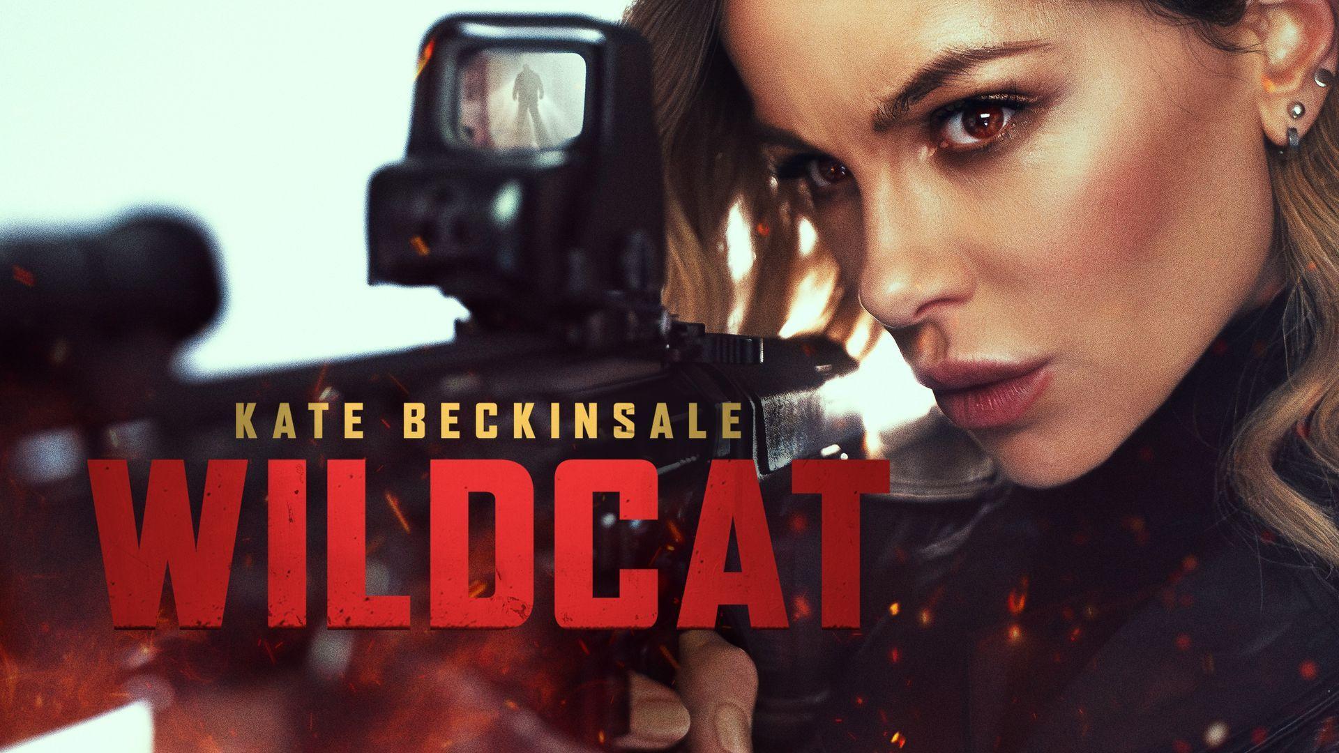 Wildcat