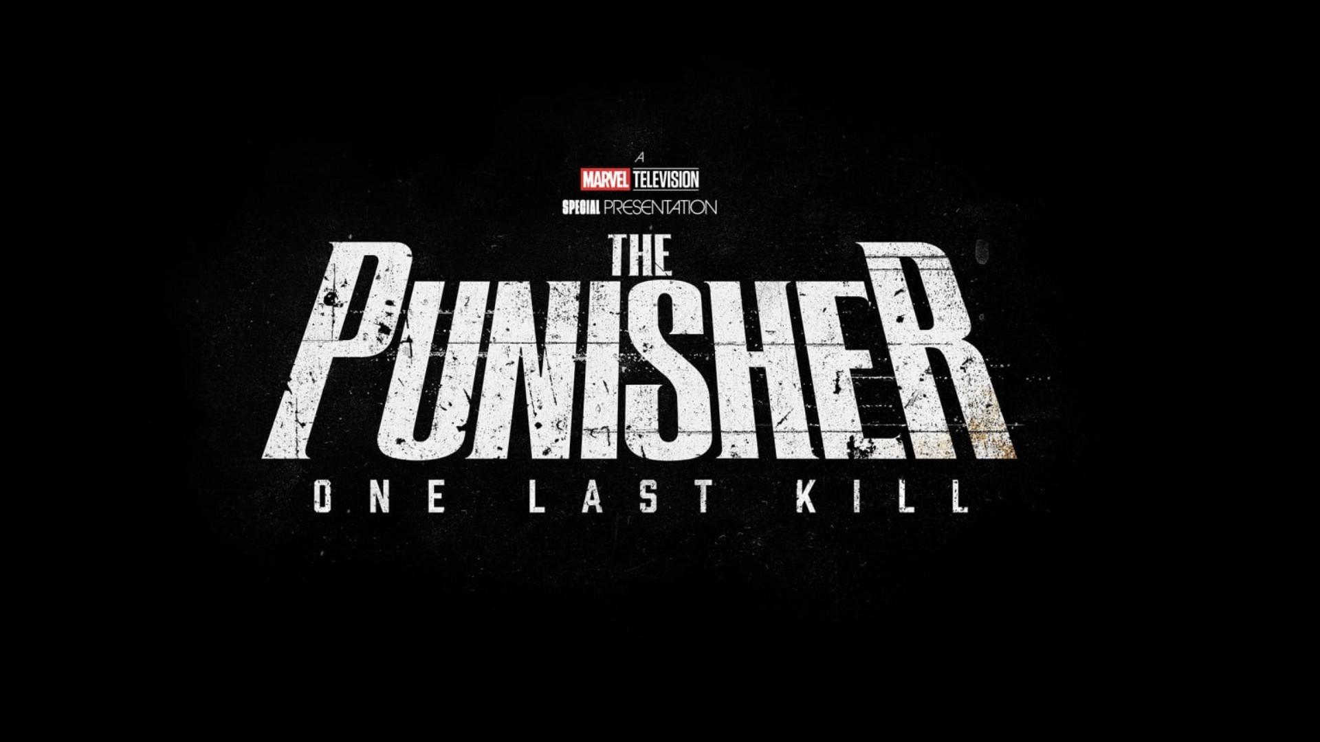 The Punisher: One Last Kill