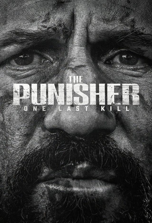 The Punisher: One Last Kill