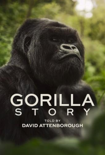 A Gorilla Story: Told by David Attenborough