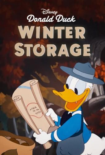 Winter Storage