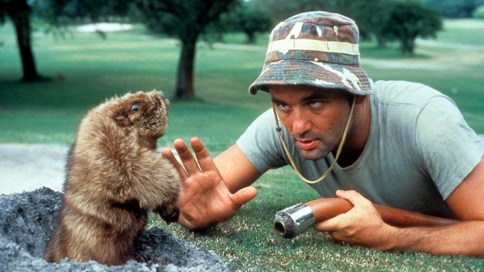 Caddyshack