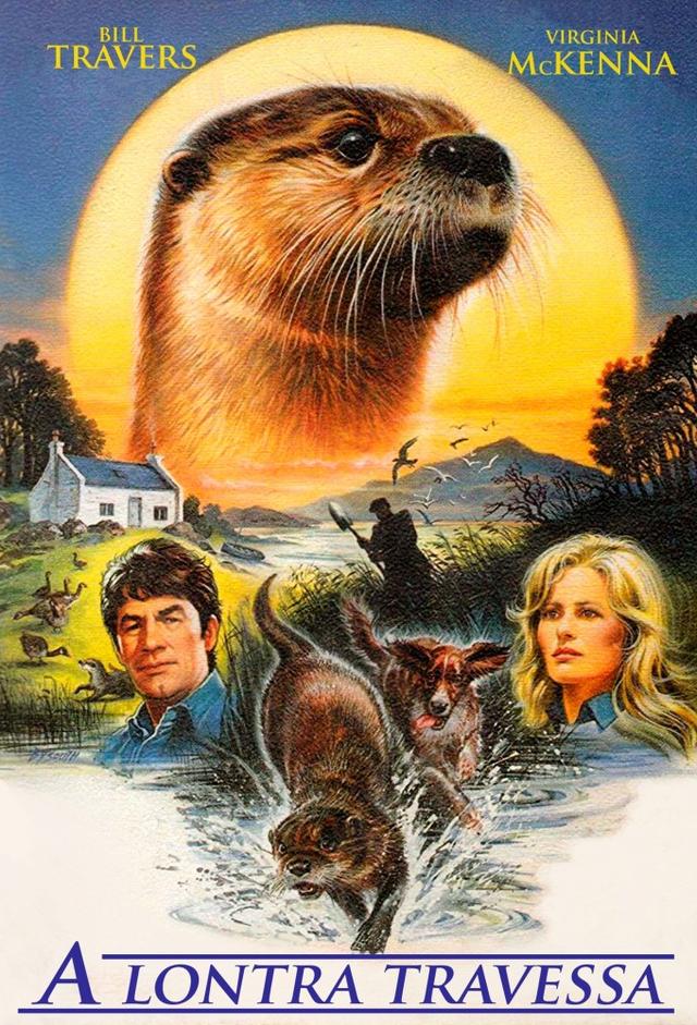 Mein Freund, der Otter