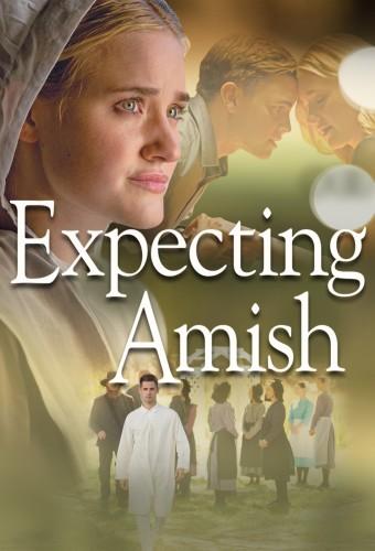 Expecting Amish