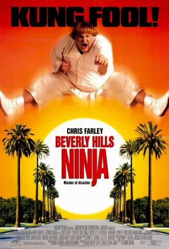 Beverly Hills Ninja