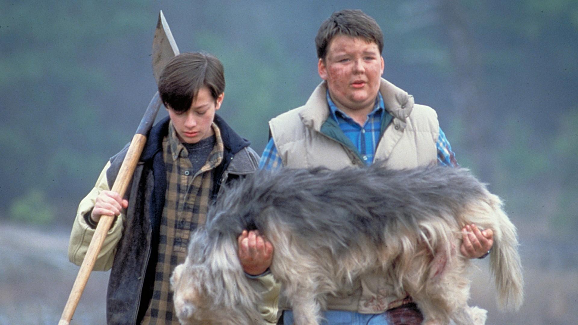 Pet Sematary II