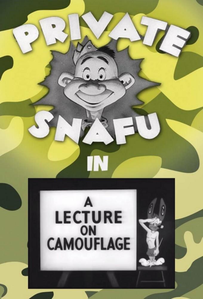 A Lecture on Camouflage