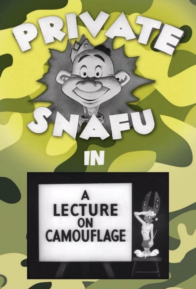 A Lecture on Camouflage