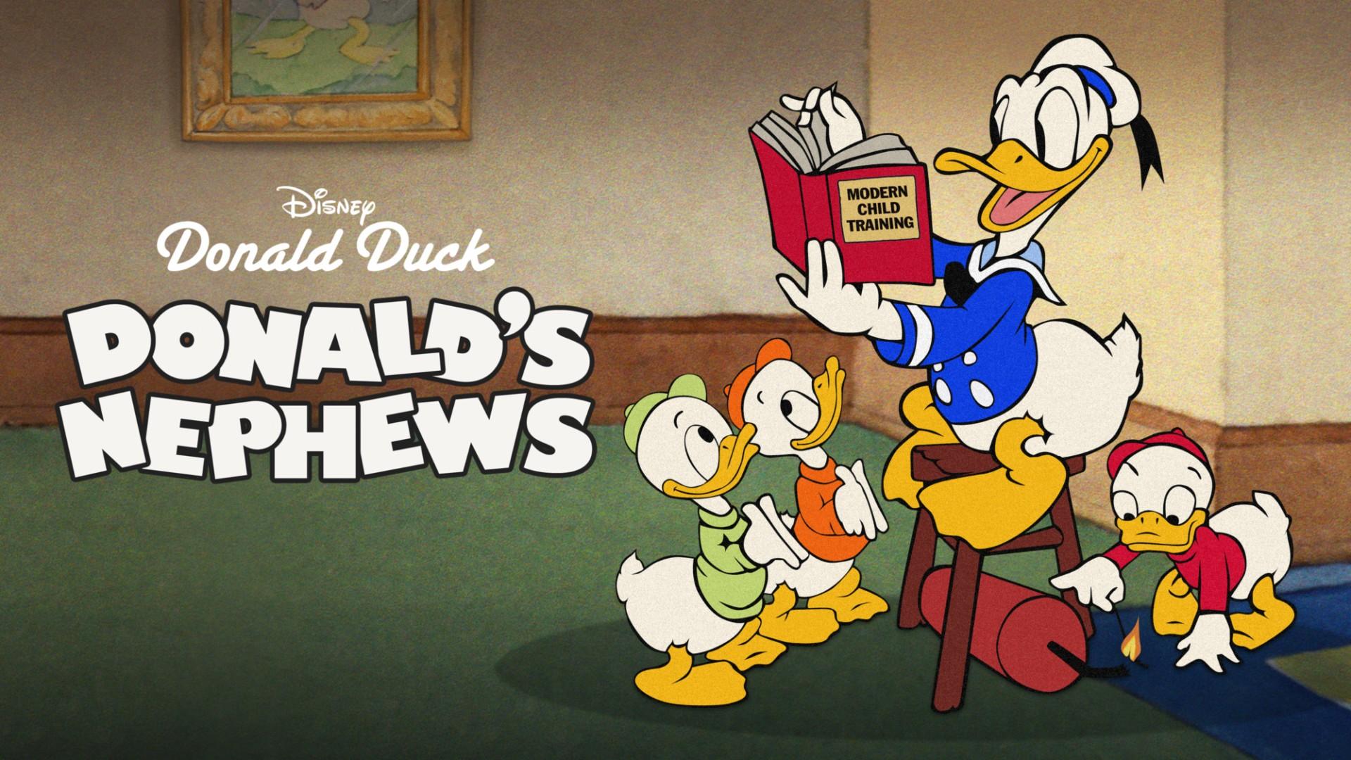 Donald's Nephews