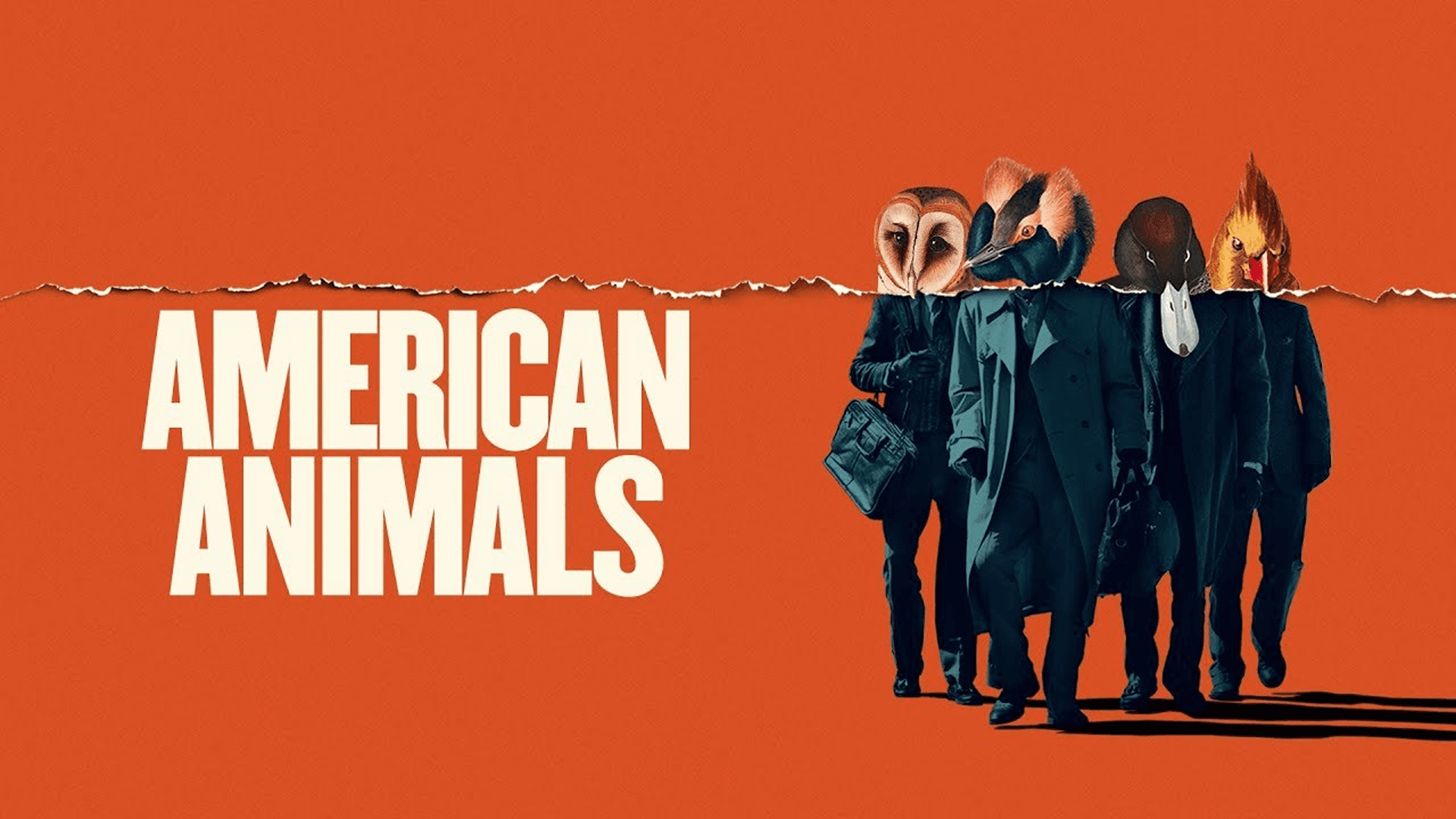 American Animals