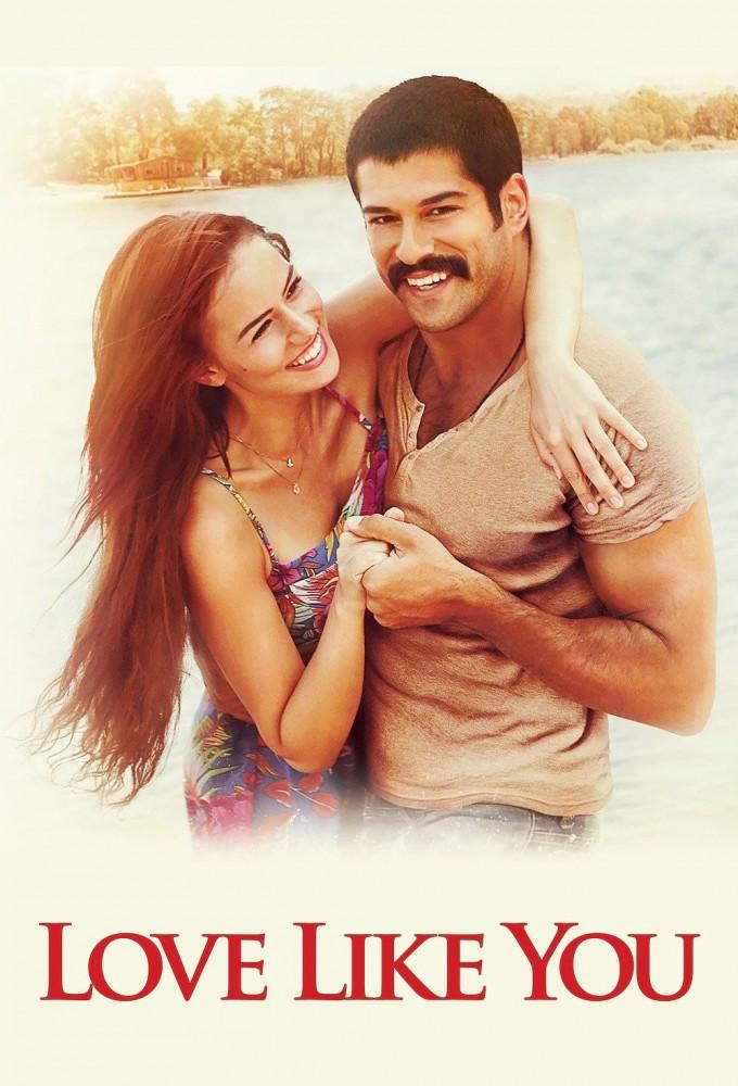 The Love is Similar to You