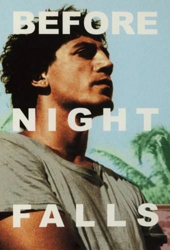 Before Night Falls