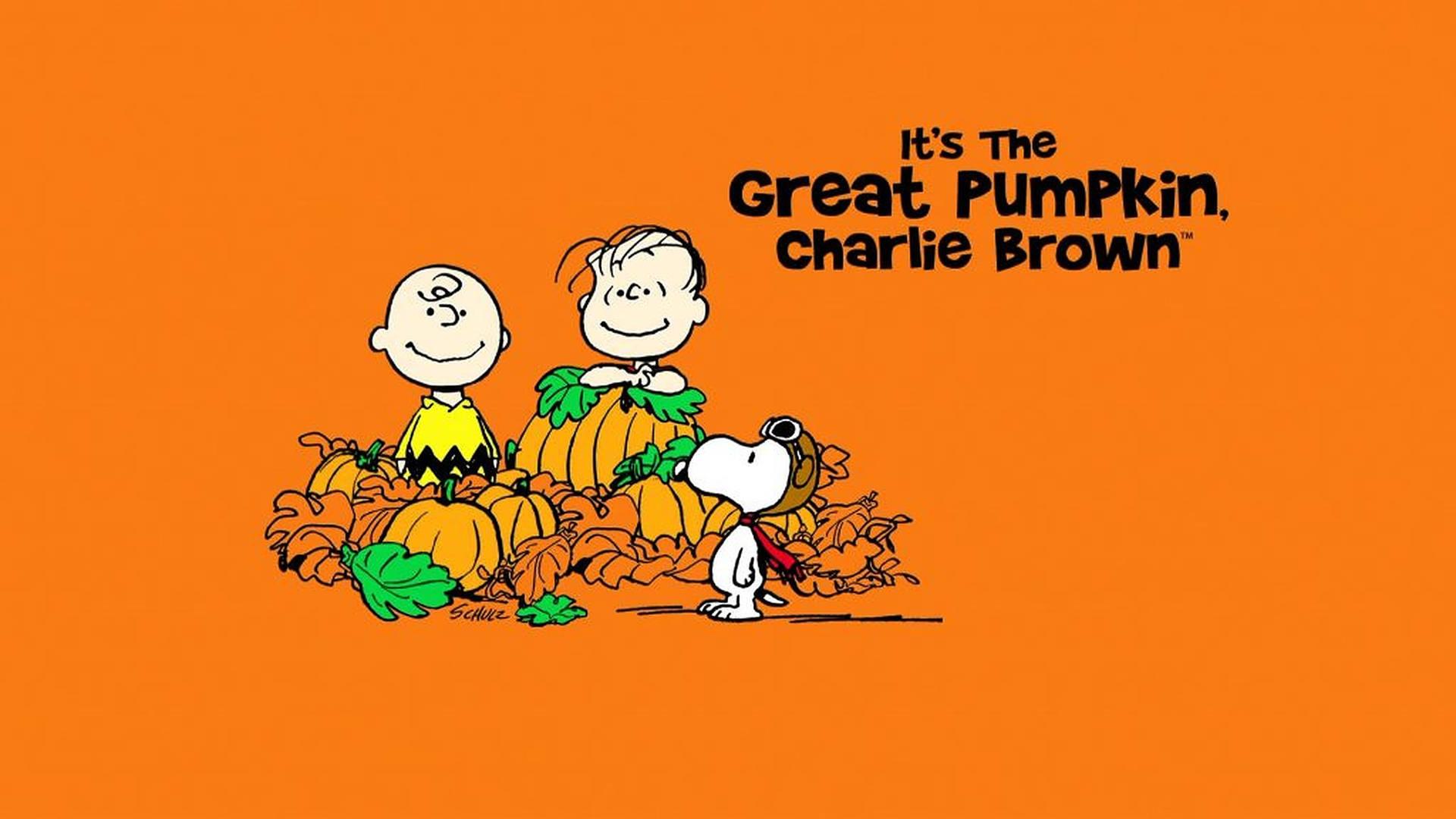 It's the Great Pumpkin, Charlie Brown