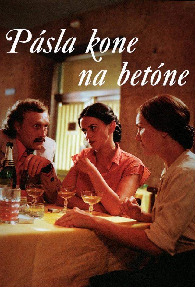 Pasla konie na betonie