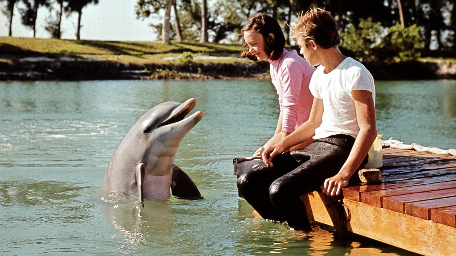 Flipper's New Adventure