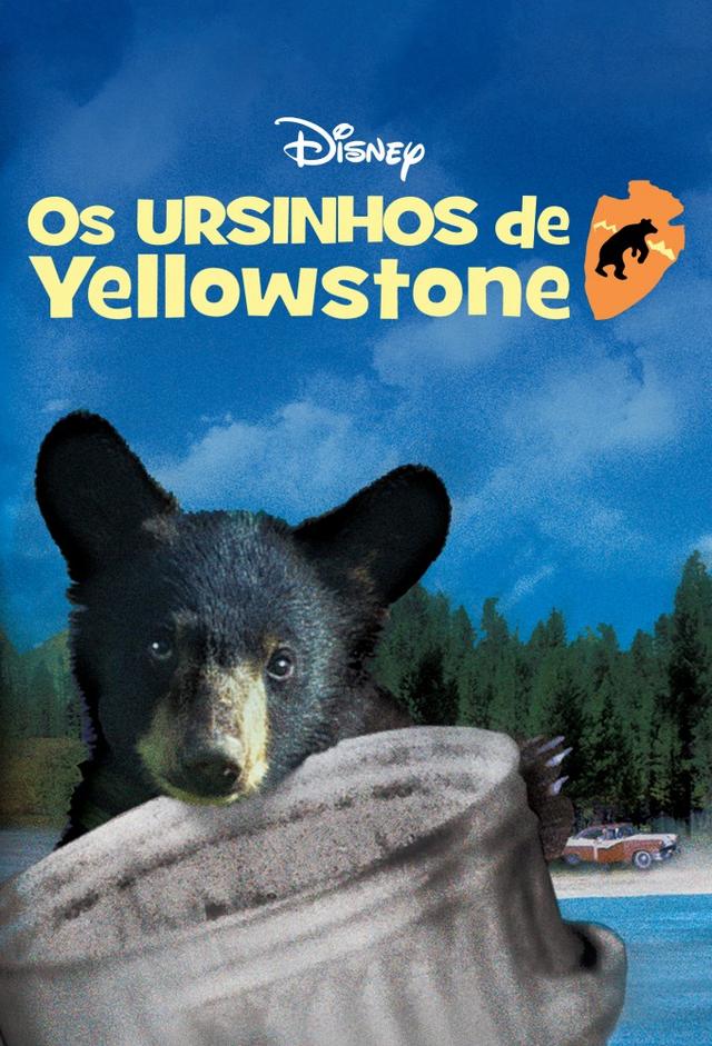 Yellowstone Cubs