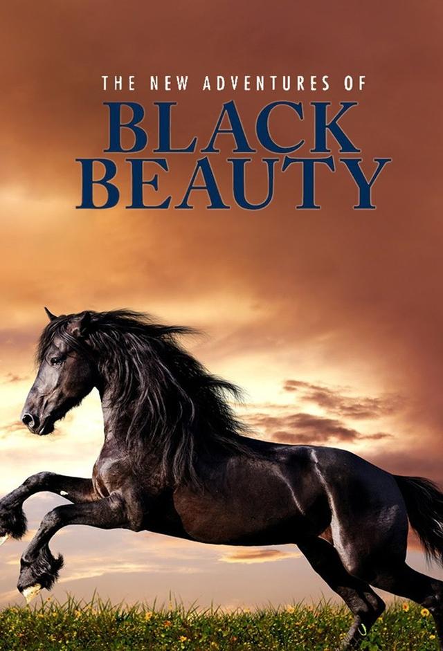 Neue Abenteuer mit Black Beauty