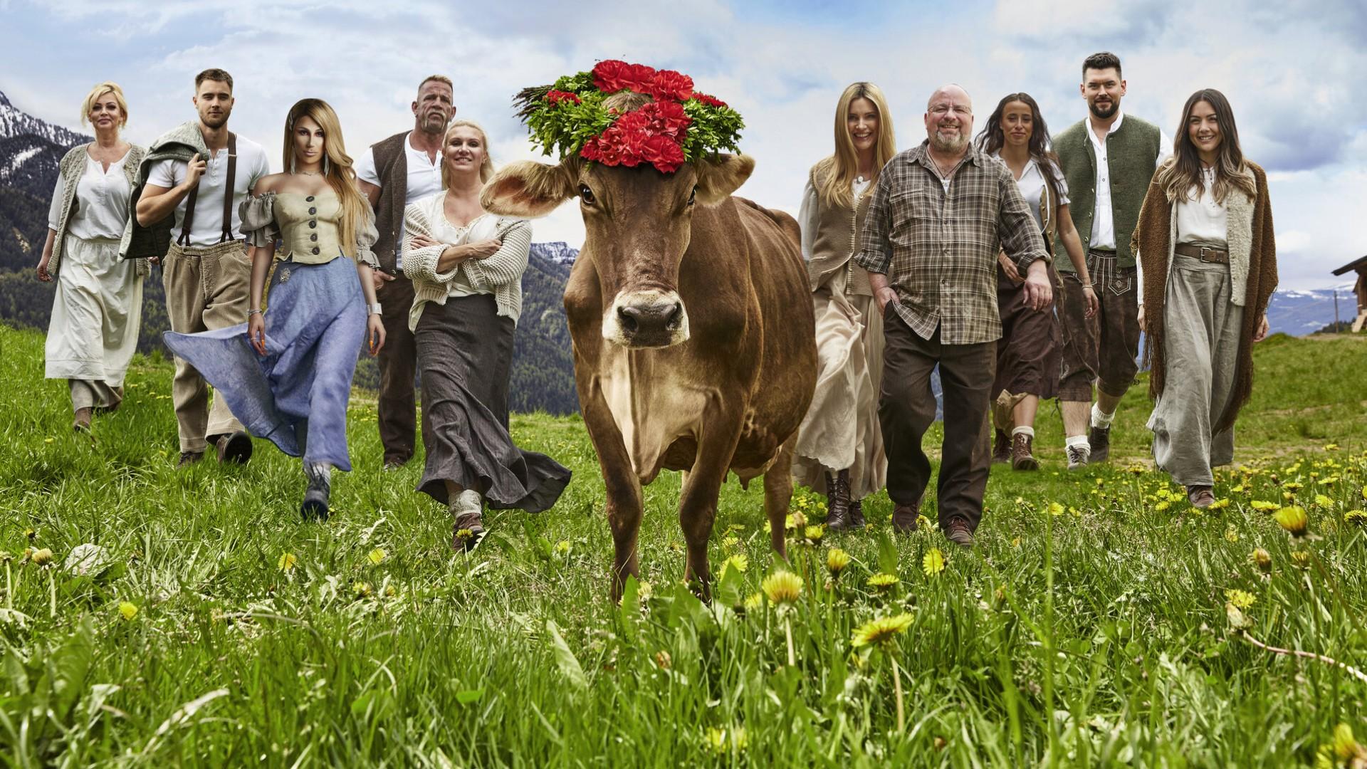 Die Alm