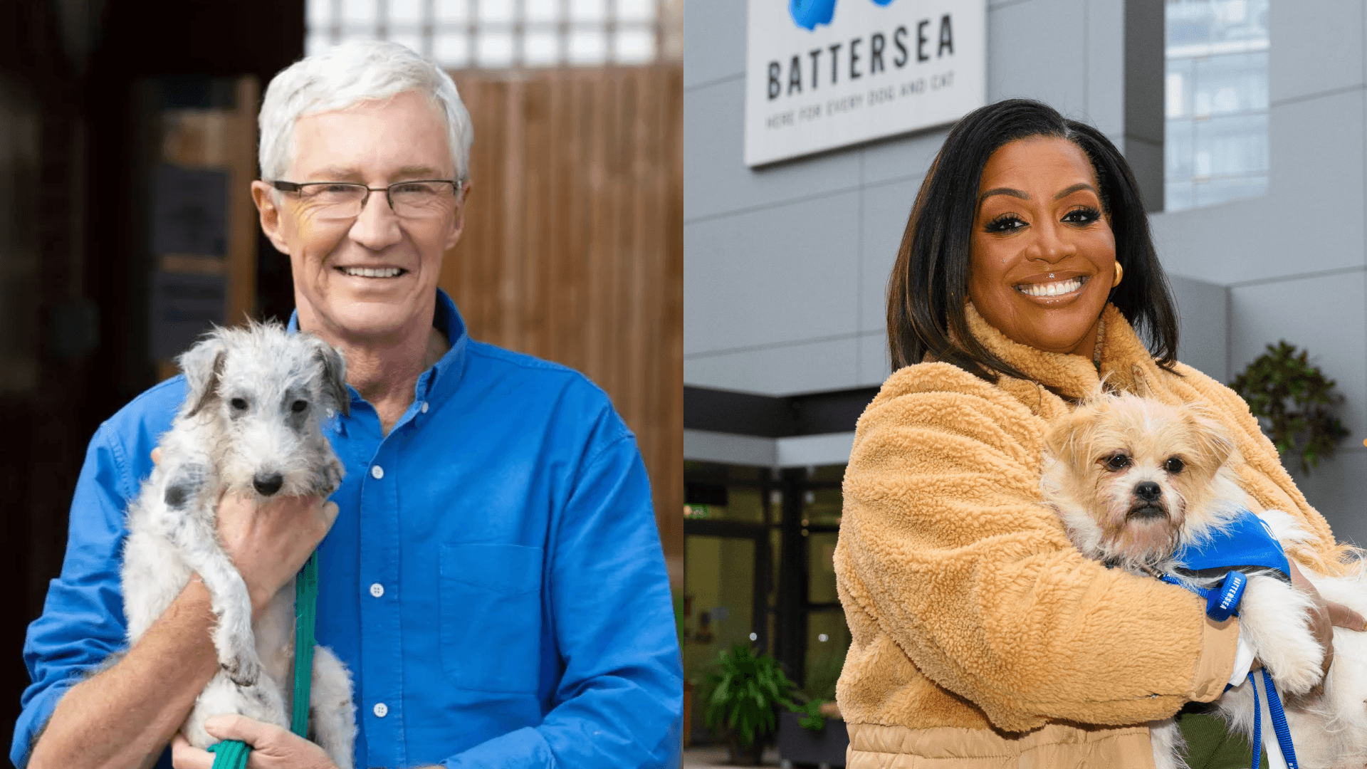 For the Love of Dogs with Alison Hammond