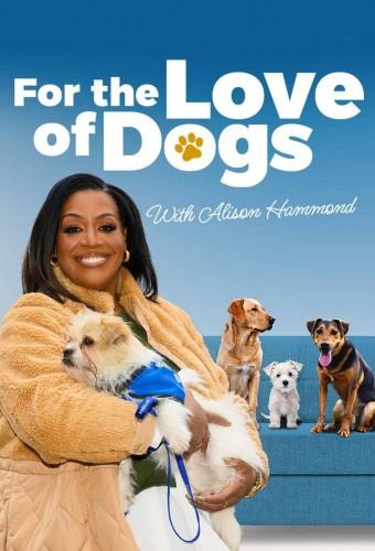 For the Love of Dogs with Alison Hammond