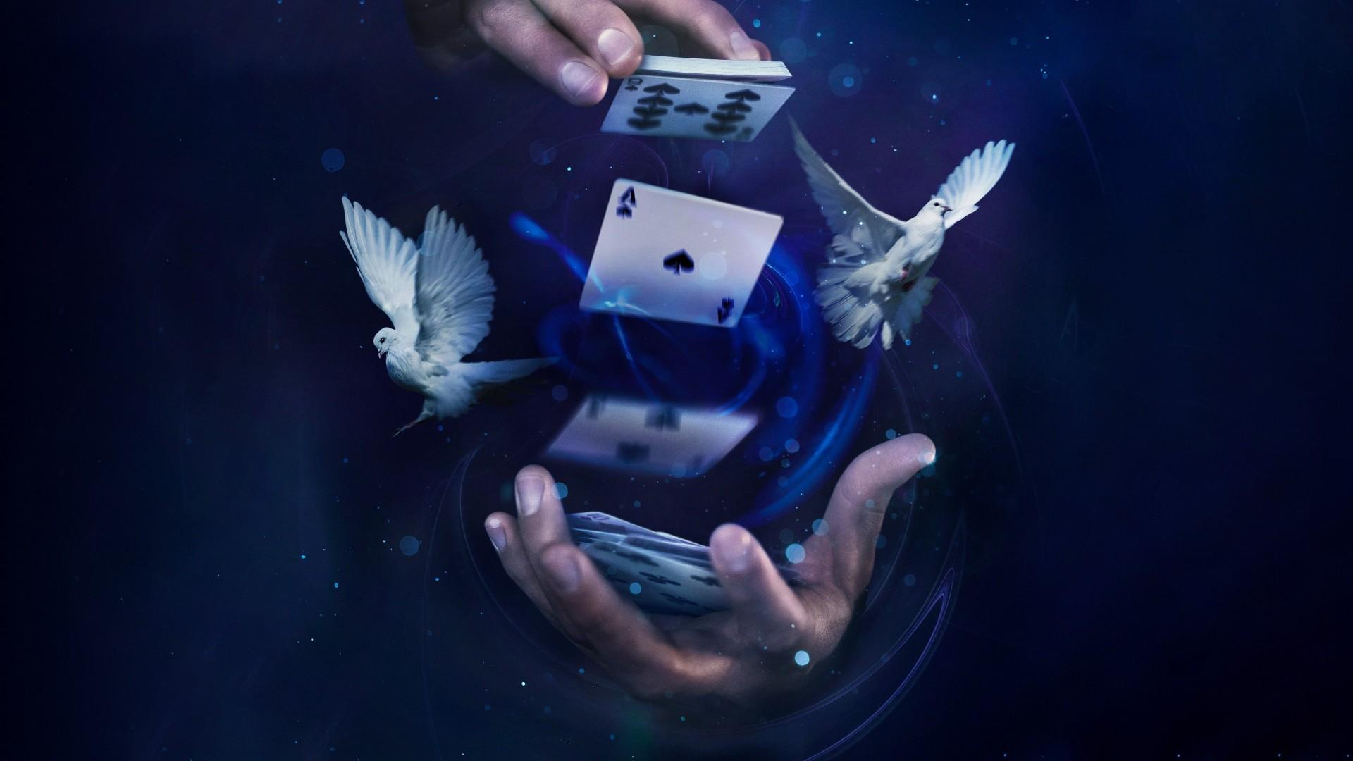 Masters of Illusion (2014)