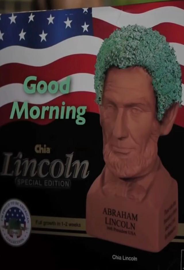 Good Morning Chia Lincoln