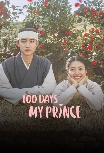 100 Days My Prince