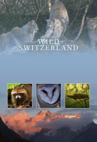 Wild Switzerland