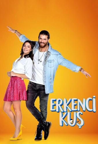 Erkenci Kuş