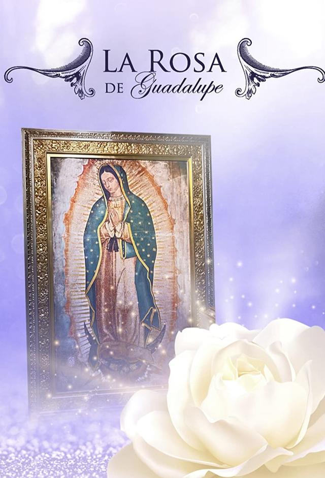 La Rosa de Guadalupe
