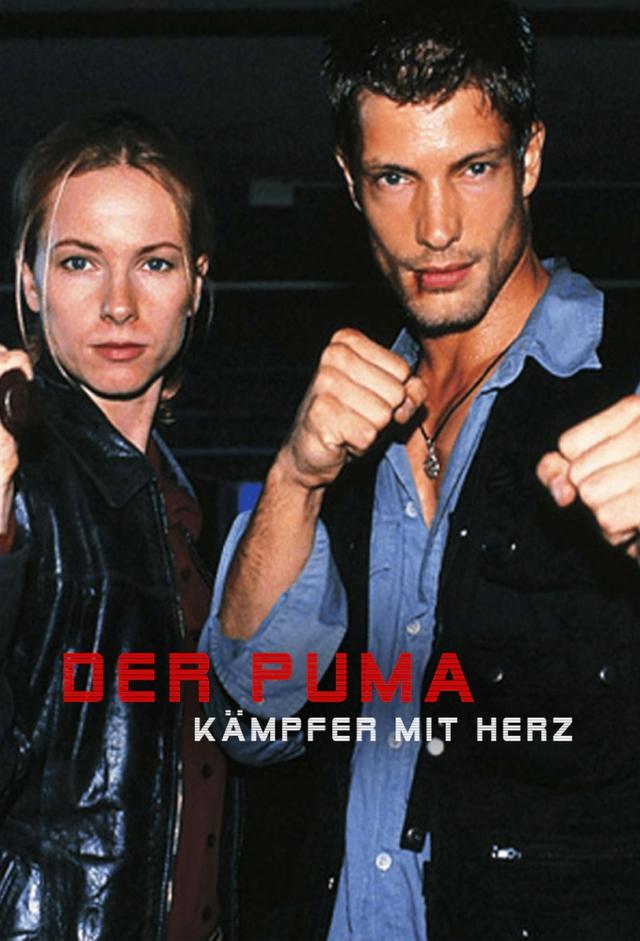 Der Puma - Kämpfer mit Herz