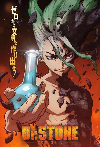 Dr. STONE