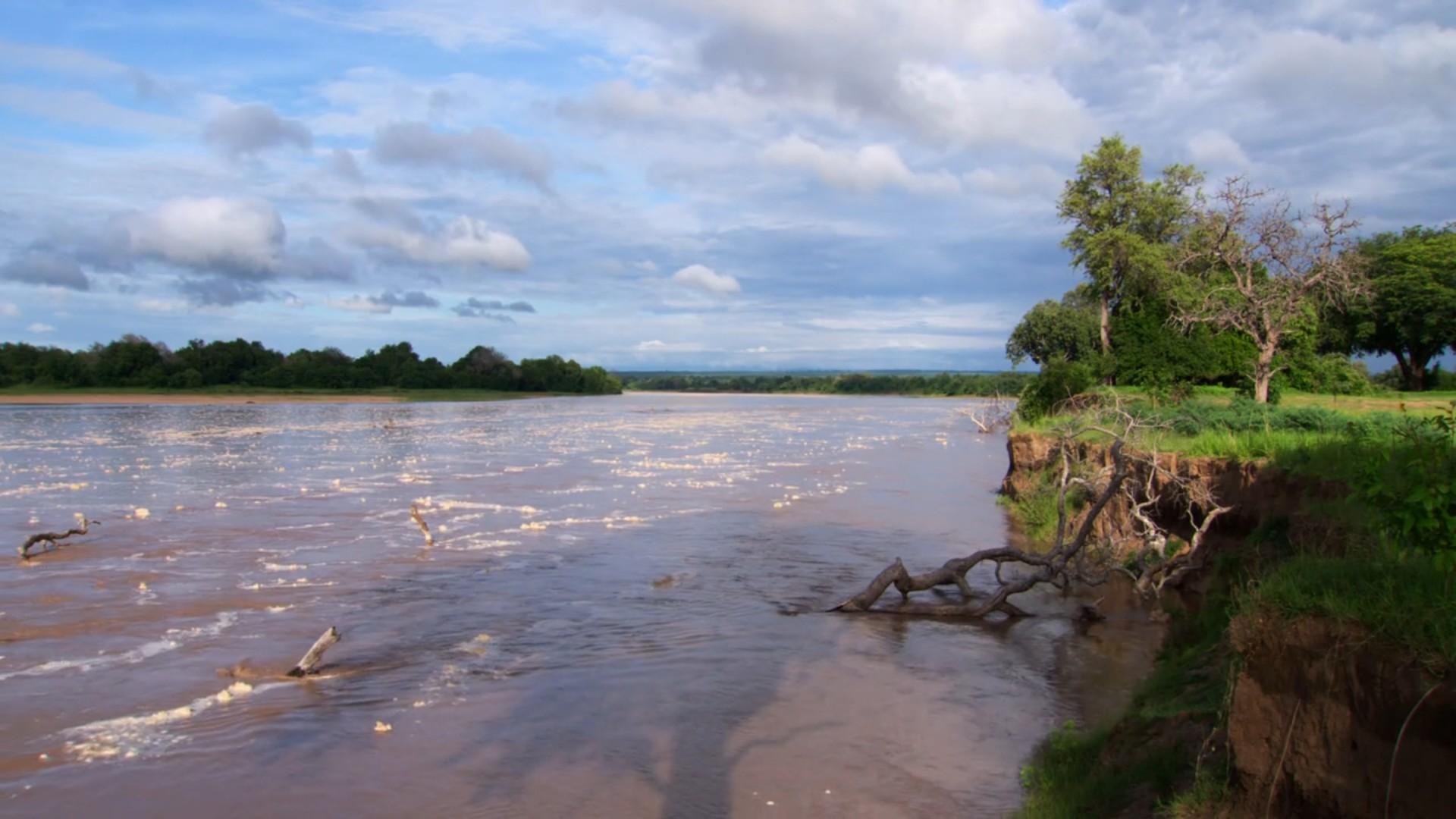 Wild Africa: Rivers of Life