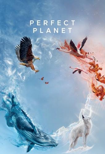 A Perfect Planet