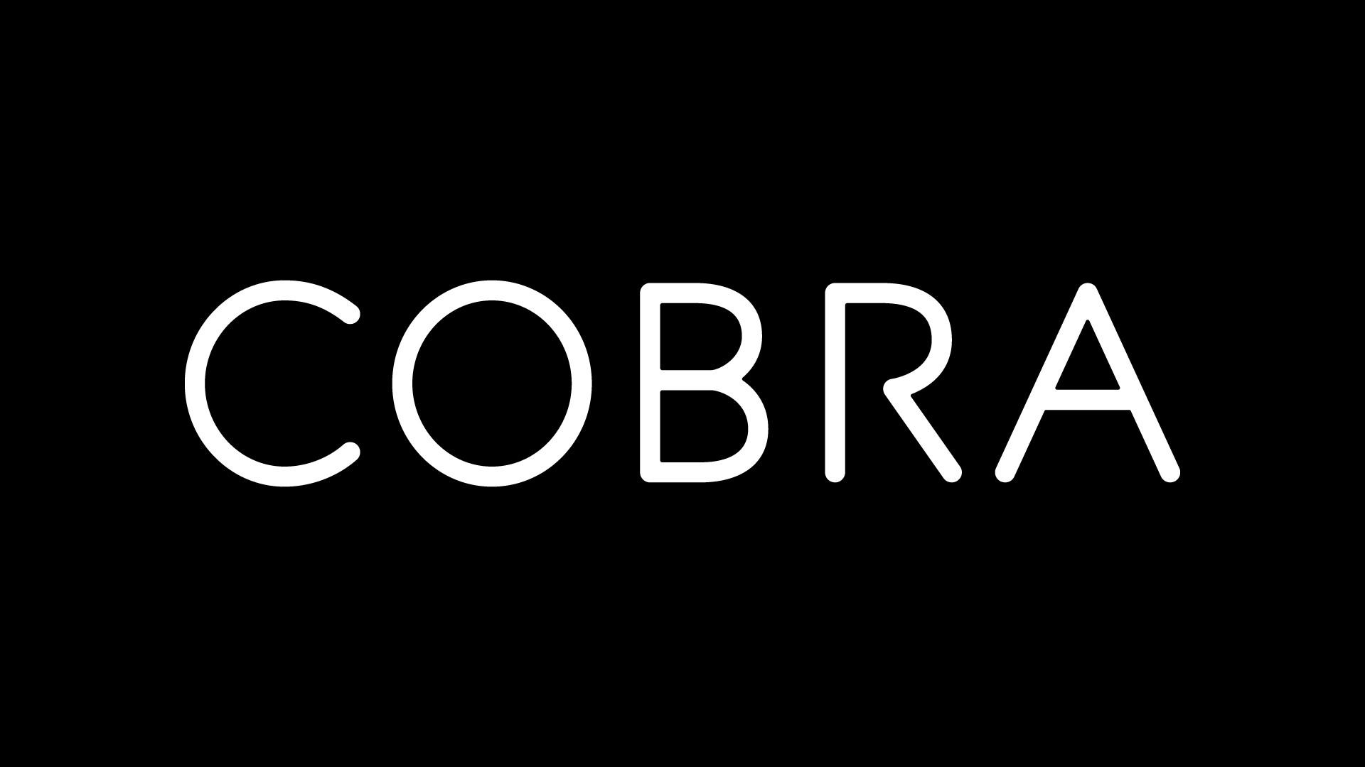 Cobra - Unità anticrisi