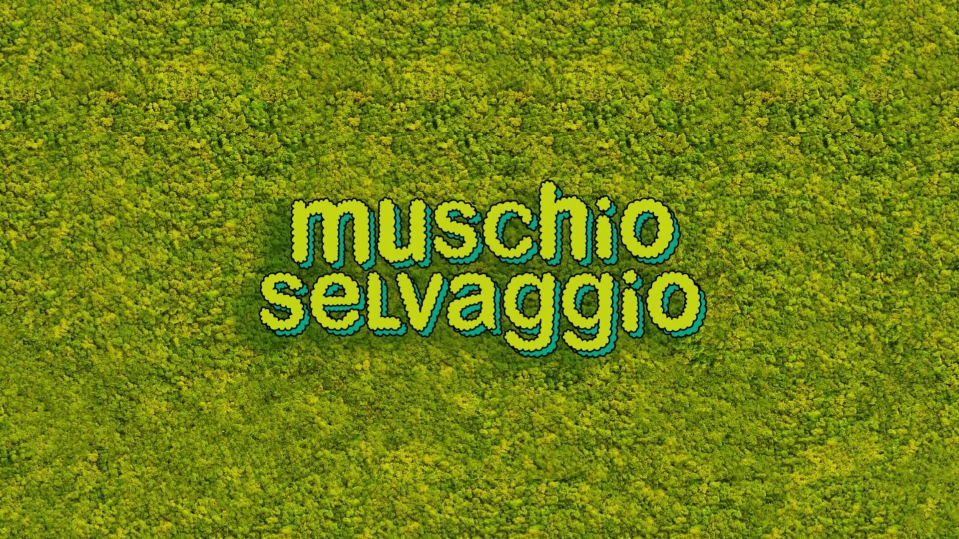 Muschio Selvaggio | TV Time