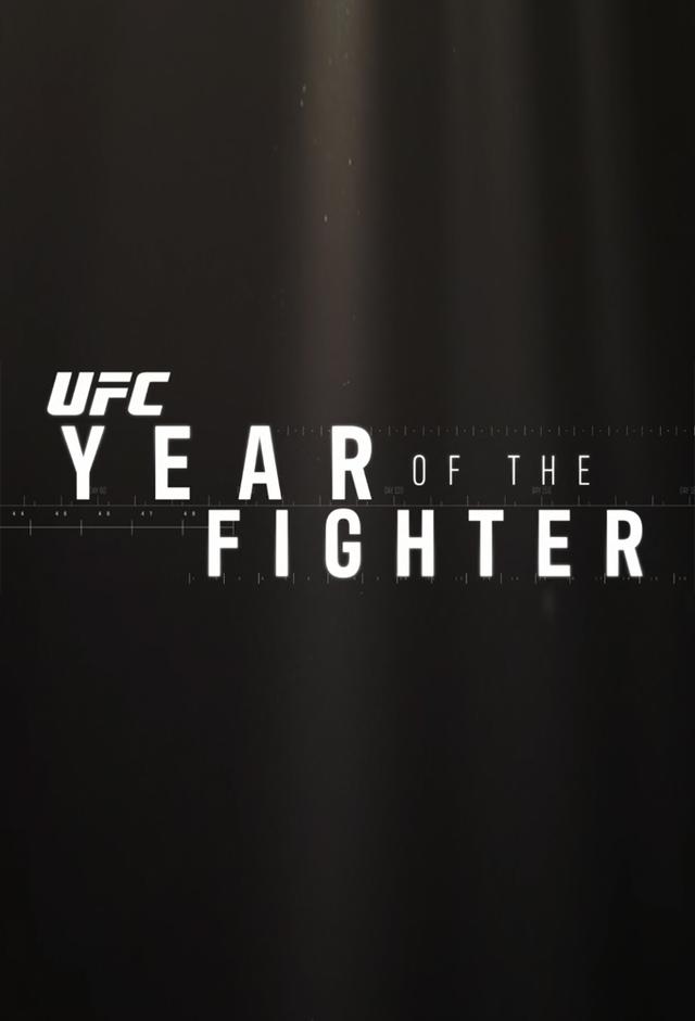 UFC Year Of The Fighter