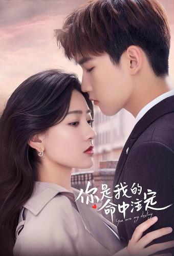 You Are My Destiny (CN)