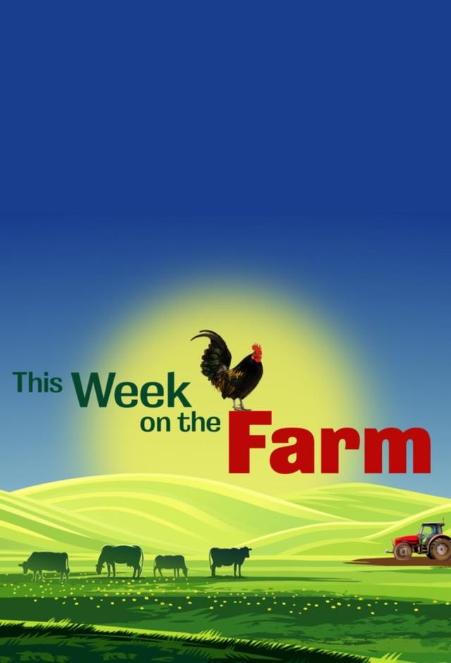 This Week on the Farm