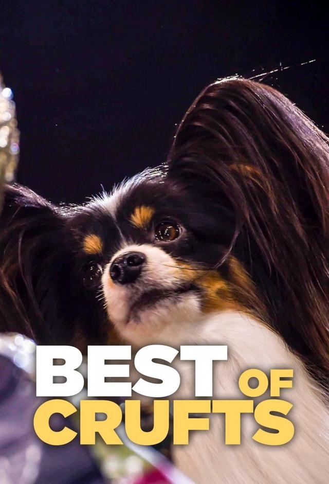 Best of Crufts