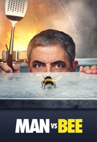 Man vs Bee