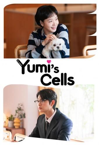 Yumi's Cells
