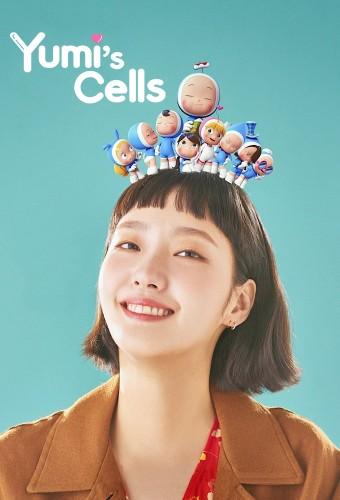Yumi's Cells