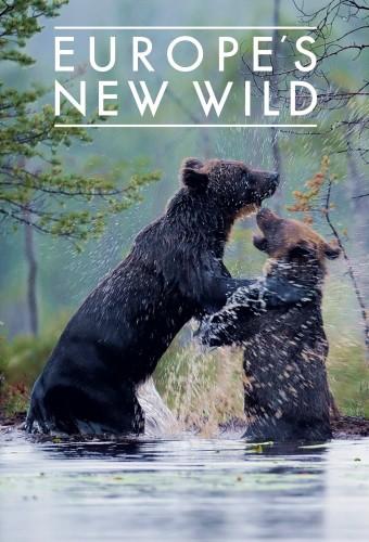 Europe's New Wild