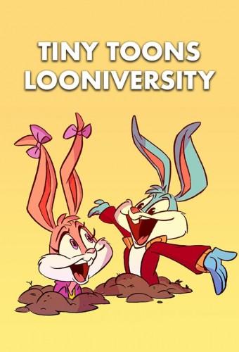 Tiny Toons Looniversity