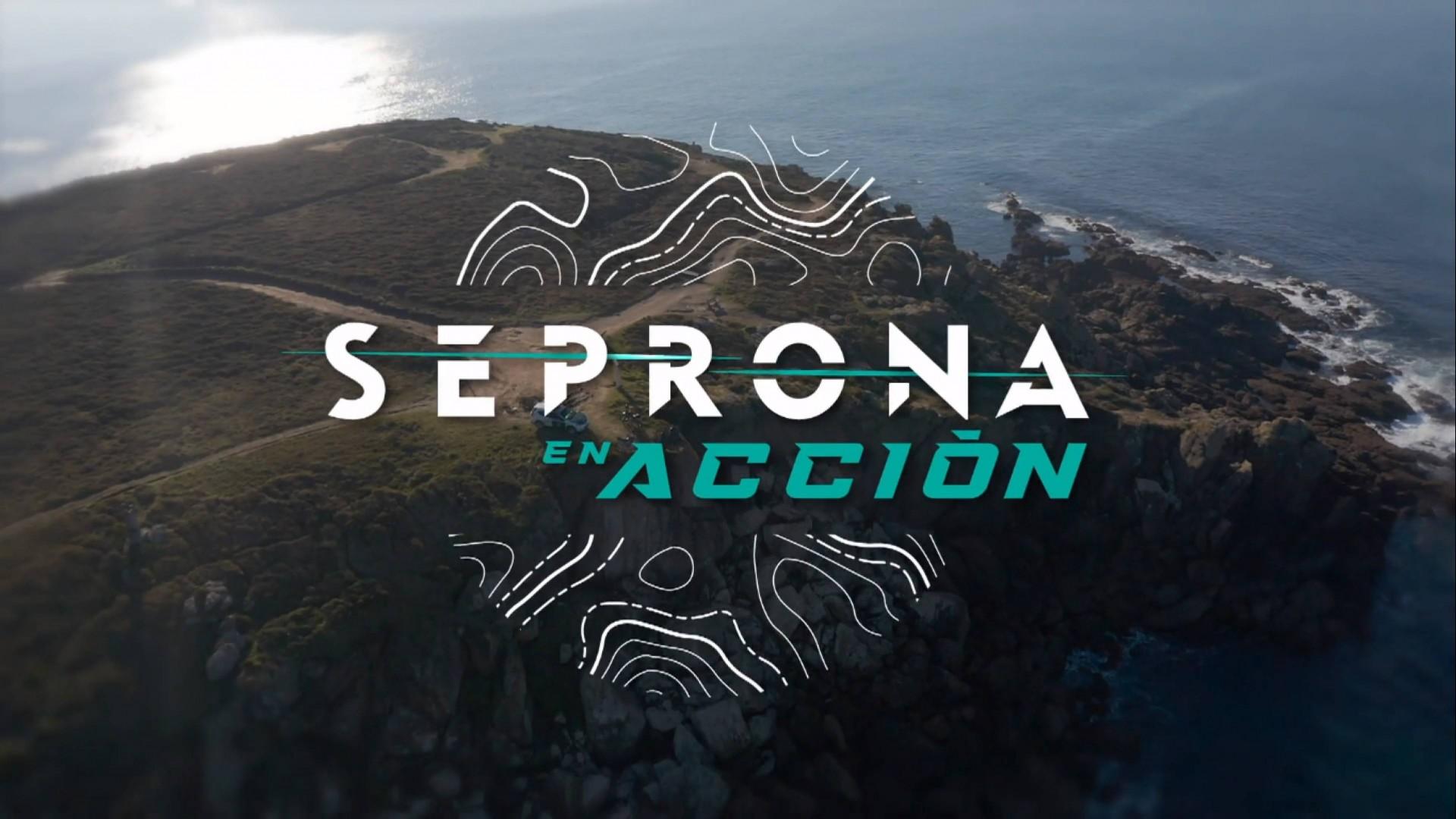 Seprona en acción