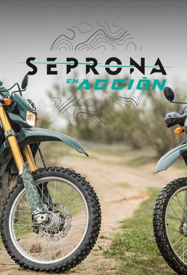 Seprona en acción