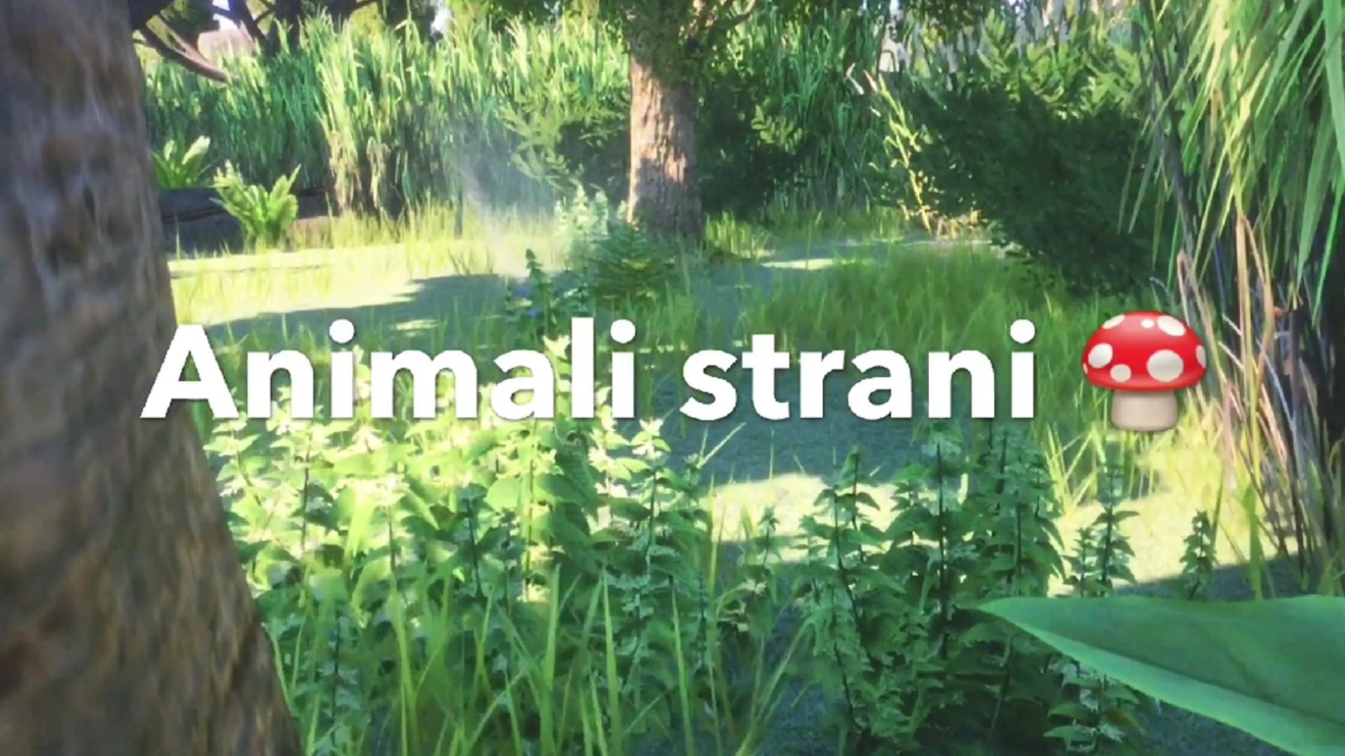 Animali Strani